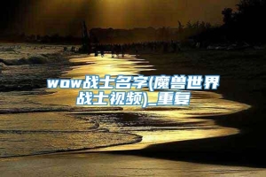 wow战士名字(魔兽世界战士视频)_重复