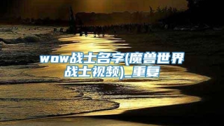 wow战士名字(魔兽世界战士视频)_重复