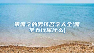 带循字的男孩名字大全(循字五行属什么)