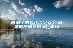 带泊字的男孩名字大全(泊字取名寓意好吗)_重复