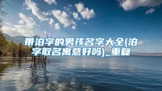 带泊字的男孩名字大全(泊字取名寓意好吗)_重复