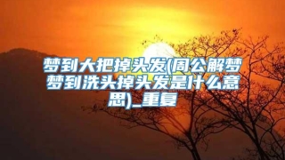 梦到大把掉头发(周公解梦梦到洗头掉头发是什么意思)_重复