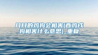 几月的鸡狗会相害(酉鸡戌狗相害什么意思)_重复
