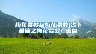 梅花易数和梅花易数(占卜基础之梅花易数)_重复