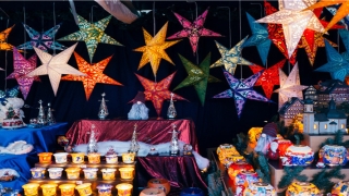 额头高可以植发吗(鲜肉头秃群像)