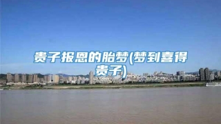 贵子报恩的胎梦(梦到喜得贵子)