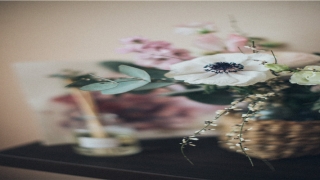 带有钅字女孩高雅的名字(高贵文雅的女孩名字)