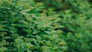 911算命网(千万别信算命先生)