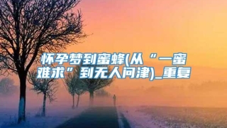 怀孕梦到蜜蜂(从“一蜜难求”到无人问津)_重复