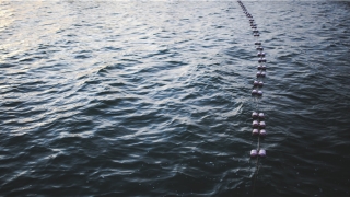 老是梦见自己会飞是怎么回事(总是做梦飞起来)