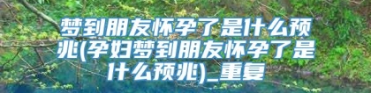 梦到朋友怀孕了是什么预兆(孕妇梦到朋友怀孕了是什么预兆)_重复