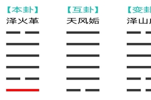 梅花易数顺序(梅花易数之观梅占)