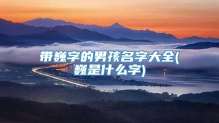 带巍字的男孩名字大全(巍是什么字)