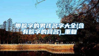 带皖字的男孩名字大全(含有皖字的网名)_重复