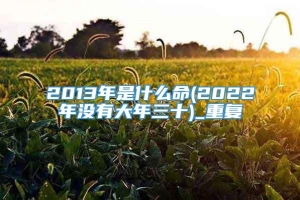 2013年是什么命(2022年没有大年三十)_重复