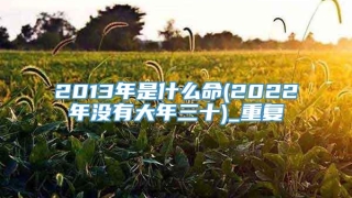 2013年是什么命(2022年没有大年三十)_重复