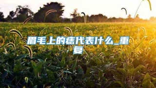 眉毛上的痣代表什么_重复