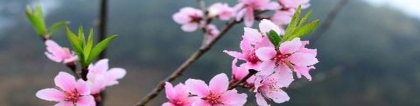 测测你这段时间桃花运差得很的原因