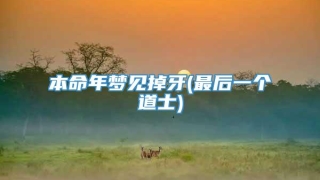 本命年梦见掉牙(最后一个道士)