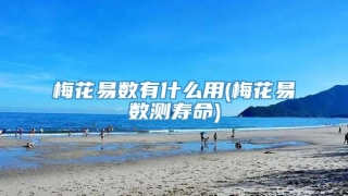 梅花易数有什么用(梅花易数测寿命)