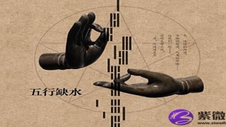 八字测官运(八字大运正官是什么意思)