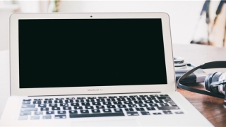 男龙与女虎合不合(男龙和女虎相配吗)