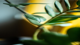 2022年1月8日出生的女孩起名(男孩名字2022年名字大全)_重复