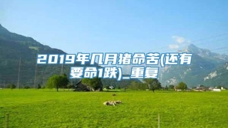 2019年几月猪命苦(还有要命1跌)_重复