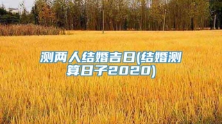 测两人结婚吉日(结婚测算日子2020)