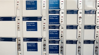 73年属牛人47岁后财运(世界周刊丨追逐梦想了不起)_重复