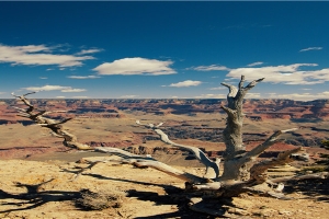 八字比劫多的男人没有钱(什么八字男女最容易离婚)