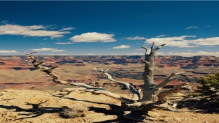 八字比劫多的男人没有钱(什么八字男女最容易离婚)