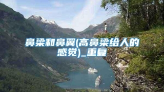 鼻梁和鼻翼(高鼻梁给人的感觉)_重复