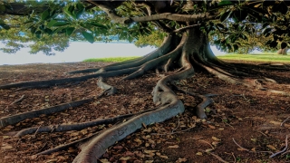 2011年纳音五行属什么(一位资深算命先生三十几年的经验之谈关于八字合婚的经验之谈)_重复