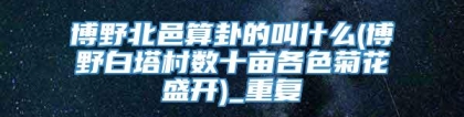 博野北邑算卦的叫什么(博野白塔村数十亩各色菊花盛开)_重复