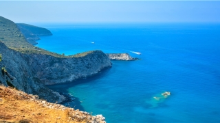 86年的虎是什么命婚配(85年86年属相婚配表)