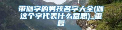 带伽字的男孩名字大全(伽这个字代表什么意思)_重复
