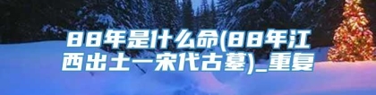 88年是什么命(88年江西出土一宋代古墓)_重复