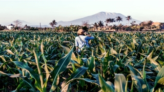 81年鸡和86年虎合财吗(梦想暴富的年轻人)_重复