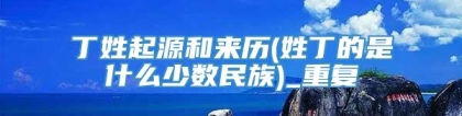 丁姓起源和来历(姓丁的是什么少数民族)_重复