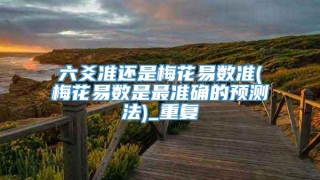 六爻准还是梅花易数准(梅花易数是最准确的预测法)_重复