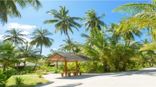 梦到离婚周公解梦(梦到不吉利的梦)