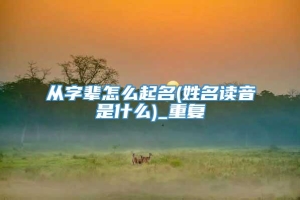 从字辈怎么起名(姓名读音是什么)_重复