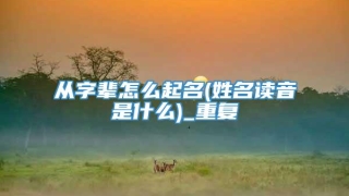 从字辈怎么起名(姓名读音是什么)_重复