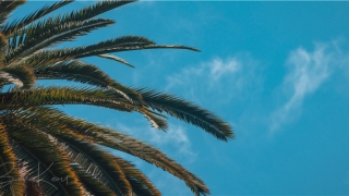 62年属虎的有几次婚姻(1962年的“苦命虎”)_重复