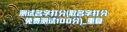 测试名字打分(取名字打分免费测试100分)_重复