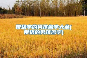 带珞字的男孩名字大全(带珞的男孩名字)