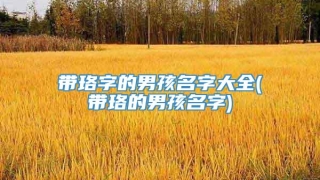 带珞字的男孩名字大全(带珞的男孩名字)
