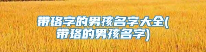 带珞字的男孩名字大全(带珞的男孩名字)