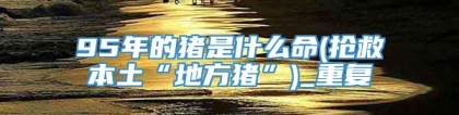 95年的猪是什么命(抢救本土“地方猪”)_重复